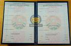 Специалист, Бакалавр, Магистр 2002-2010